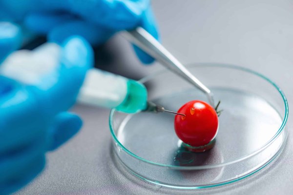 Can You Install a Larger Throttle Body on a Jeep Grand Cherokee 5.7 HEMI for Improved Throttle Response?